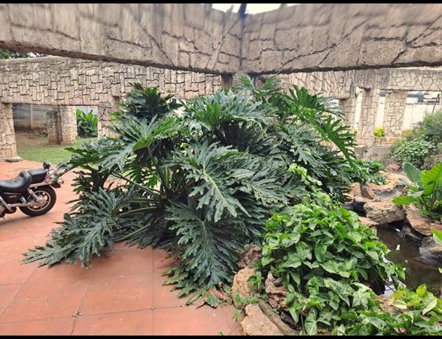 13 BEDROOM HOUSE FOR SALE IN KLIPPOORTJE